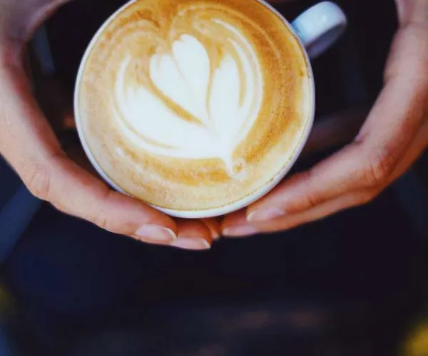 Street Food Possonium Bratislava